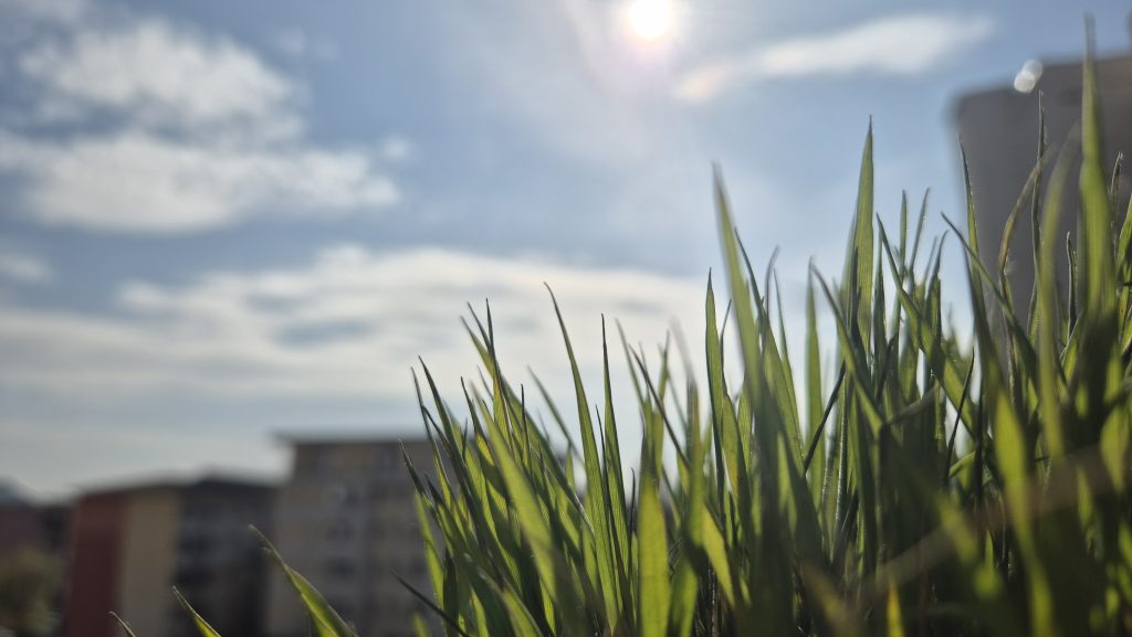 Vreme schimbătoare, ploi, soare și temperaturi oscilante