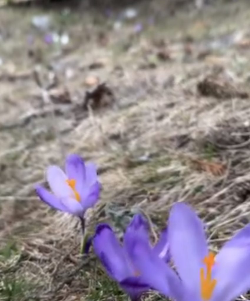 Vremea în weekend: Răcire ușoară și ceață densă  în sud și est 