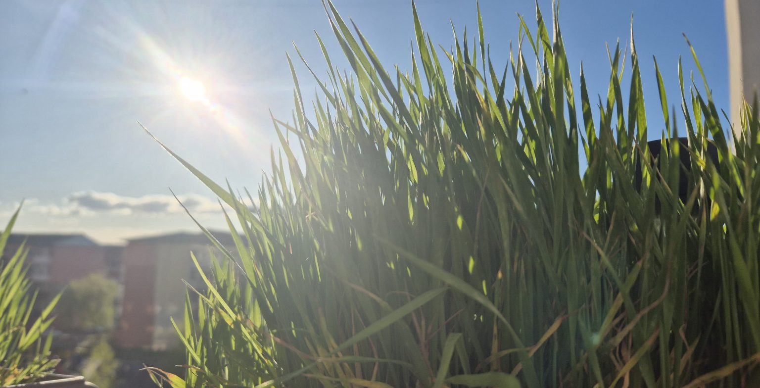 Cod portocaliu și galben de viscol și vânt puternic în Dâmbovița și la munte – 8 aprilie 2026