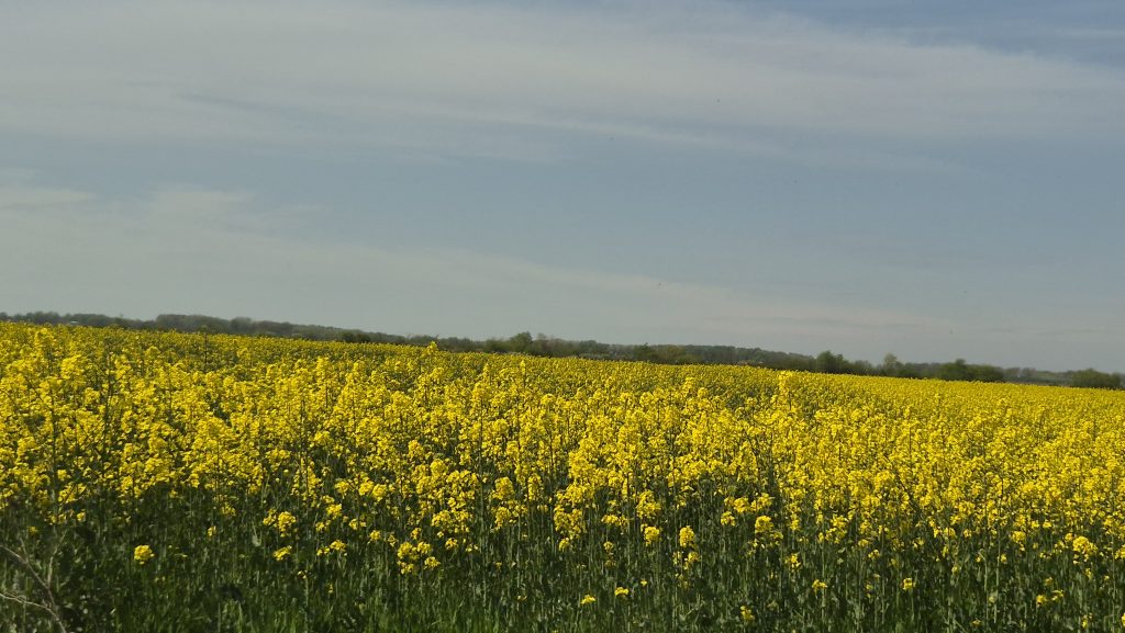 DIMINEAȚĂ FRIGUROASĂ ÎN ROMÂNIA. TÂRGOVIȘTE, LA 0 GRADE ÎN PLIN APRILIE