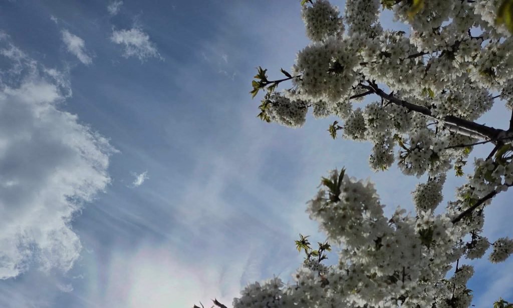  Duminică, 26 aprilie – Vânt puternic și contraste termice 