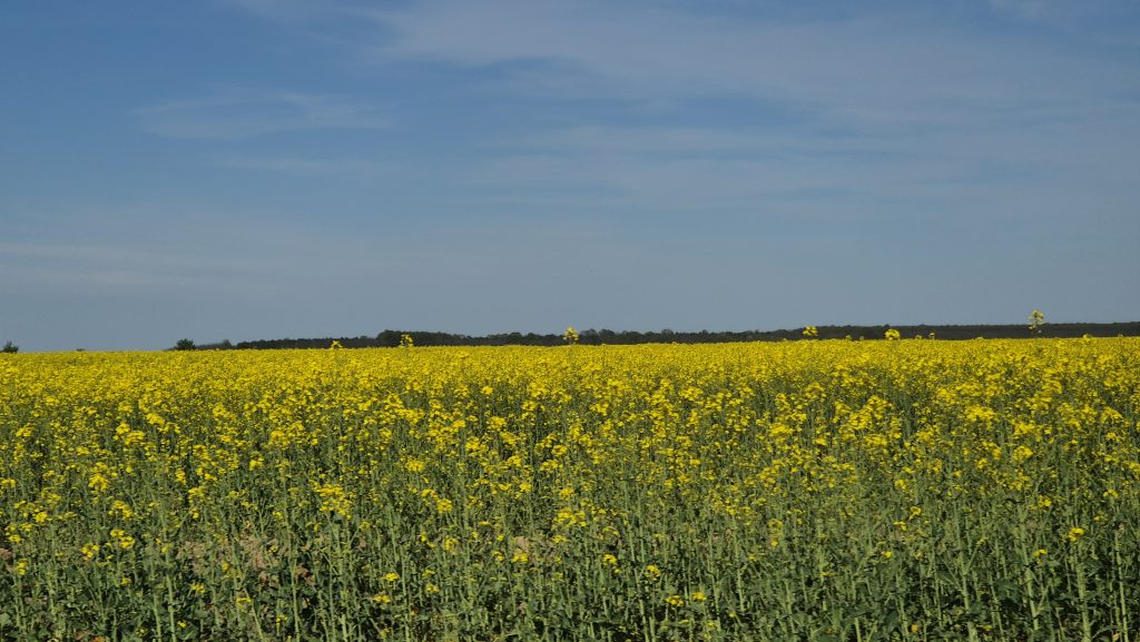 Județul Dâmbovița, sub informare meteo de vreme foarte rece, ploi și ninsori la munte până pe 2 mai 