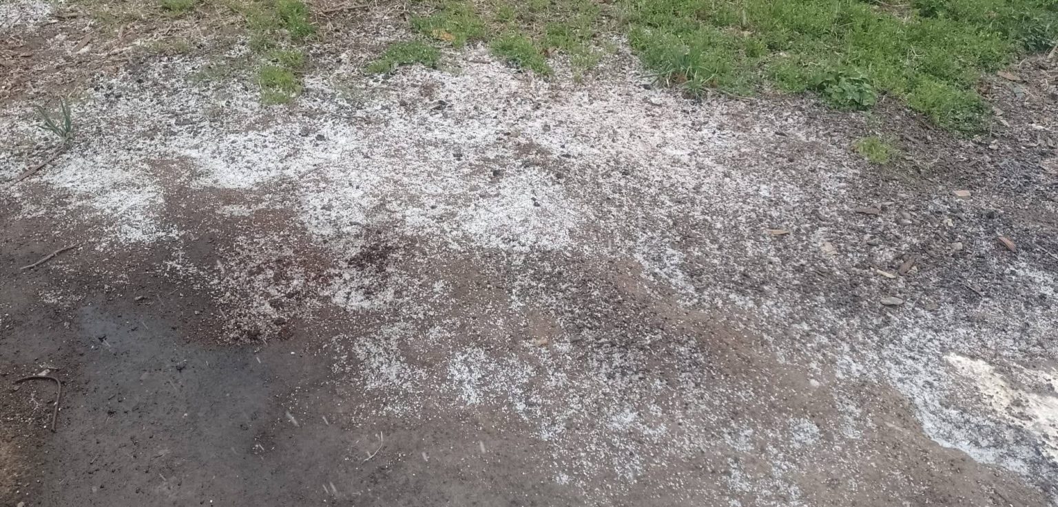 Lapoviță de scurtă durată la Târgoviște, pe fondul vremii deosebit de reci