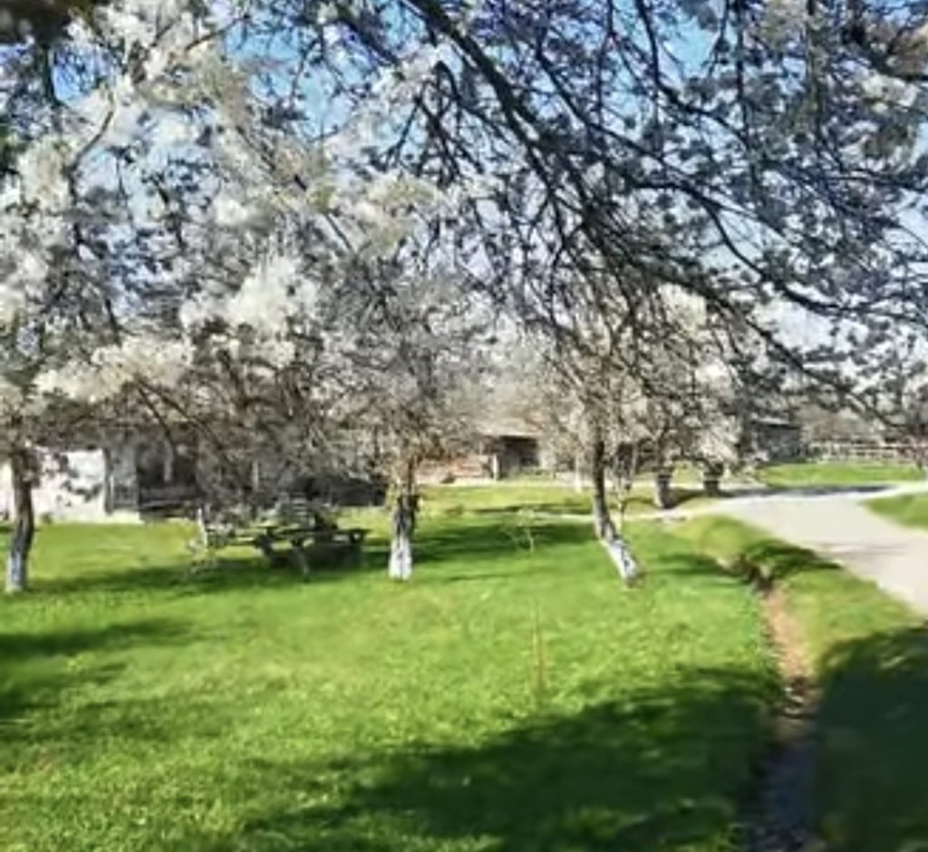 Muzeul Golești – locul unde tradiția, natura și liniștea se întâlnesc