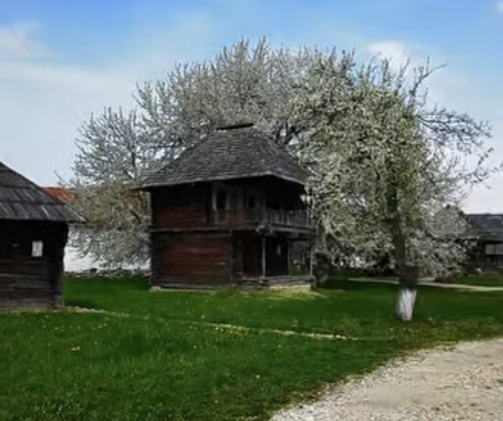 Muzeul Golești – locul unde tradiția, natura și liniștea se întâlnesc