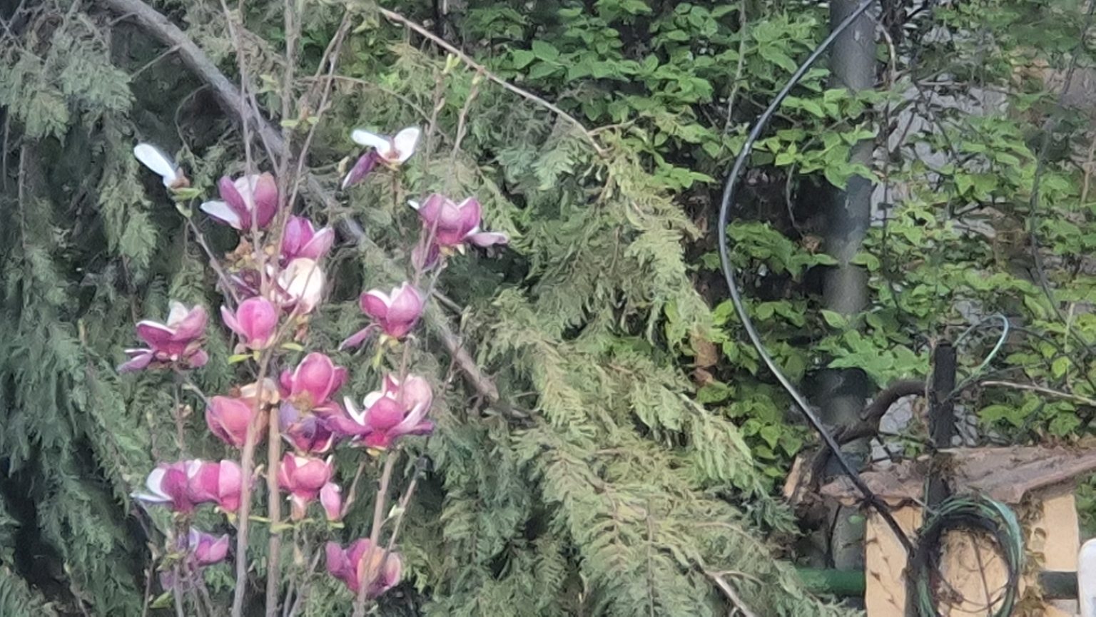 Vreme de primăvară cu  soare și ploi trecătoare