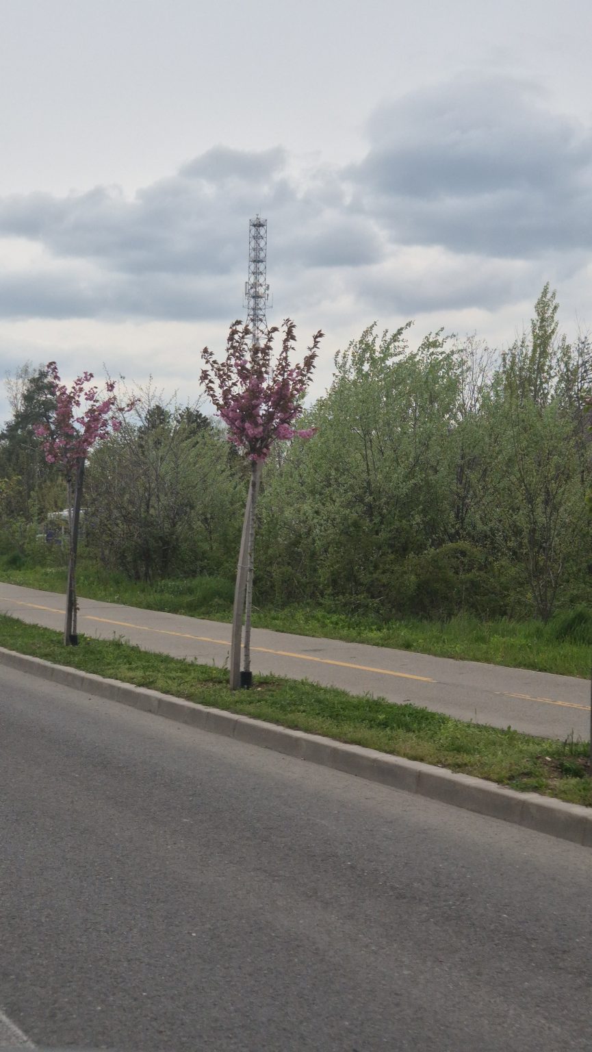 Vremea intră într-un proces de răcire ușoară în următoarele zile