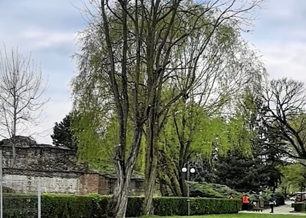 De la vreme de primăvară cu temperaturi plăcute la rafale puternice de vânt,  mâine 26 aprilie 