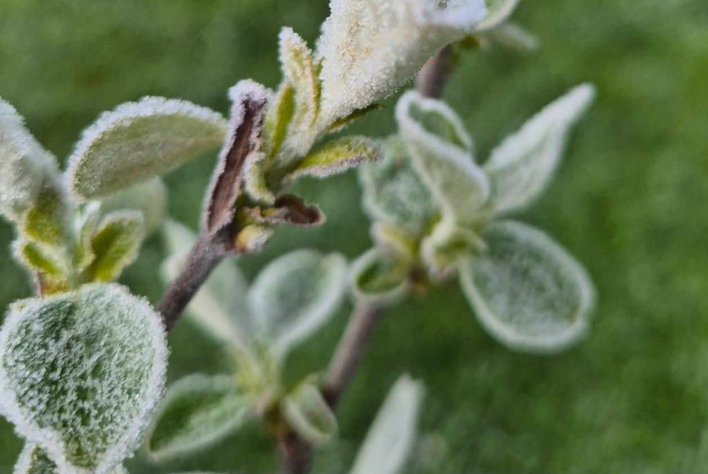  1 Mai înghețat: record istoric de frig în România, temperaturi ca în plină iarnă