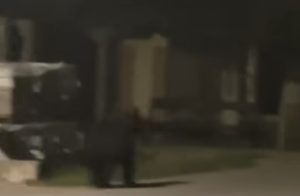 Alertă în comuna Raciu! Urs semnalat în satul  Siliștea