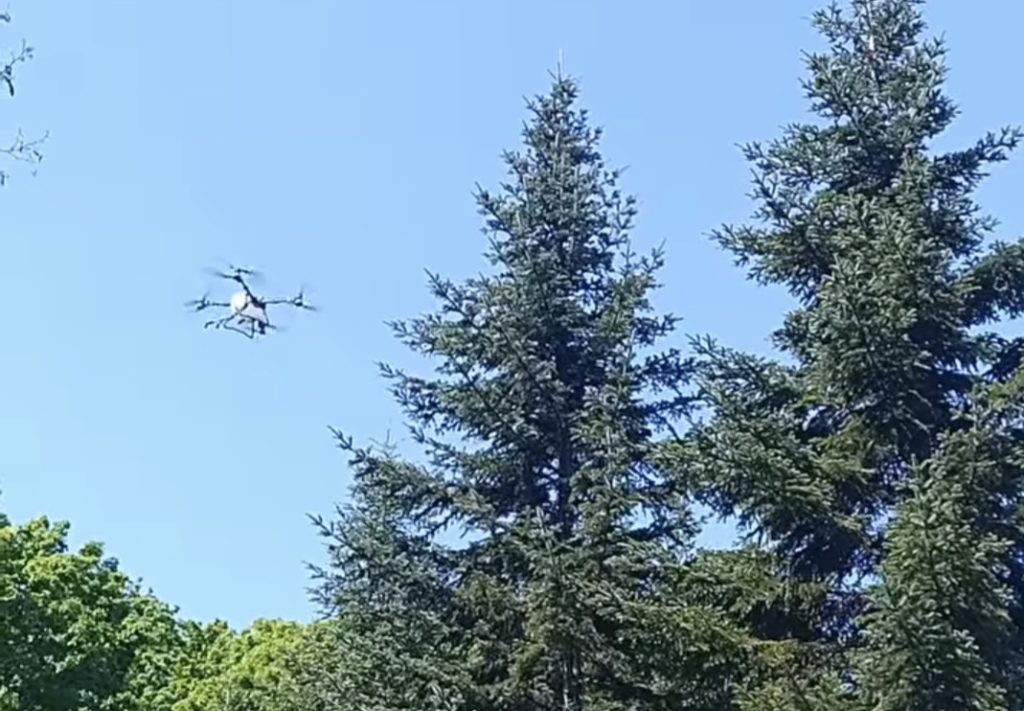 Drone folosite pentru protejarea plantației de brad de la O.S. Târgoviște împotriva dăunătorilor