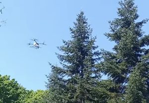 Drone folosite pentru protejarea plantației de brad de la O.S. Târgoviște împotriva dăunătorilor