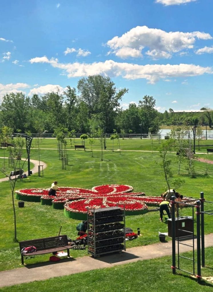 Parcul de lângă Complex se transformă spectaculos! Flori, spații verzi impecabile și un design modern