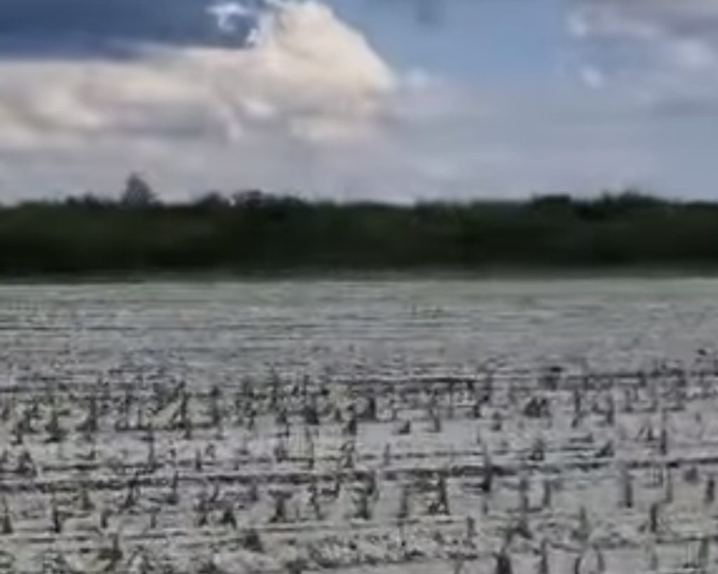 Posibile furtuni severe și supercelule astăzi în mai multe zone din țară, inclusiv in județul Dâmbovița