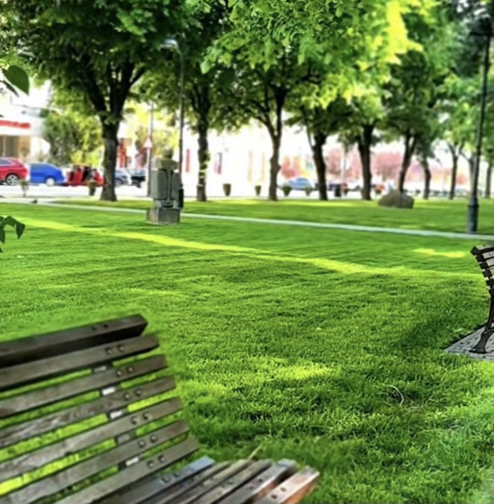 Târgoviște – un oraș tot mai verde! 