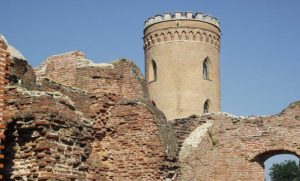 Complexul Muzeal „Curtea Domnească” desfășoară ample acțiuni de deratizare și dezinsecție în unitățile muzeale