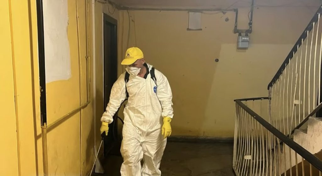  Acțiuni de dezinsecție și deratizare în toate blocurile din orașul Titu