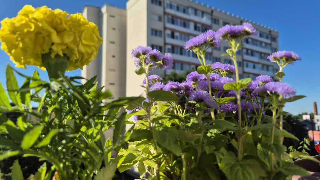 Instabilitate atmosferică la începutul săptămânii, urmată de caniculă. Instabilitate atmosferică la începutul săptămânii, urmată de caniculă