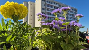 Instabilitate atmosferică la începutul săptămânii, urmată de caniculă