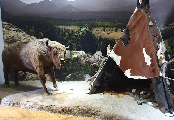 Călătorie fascinantă în preistorie la Muzeul Evoluției Omului și Tehnologiei în Paleolitic din Târgoviște Muzeul Evoluției Omului și Tehnologiei în Paleolitic din Târgoviște
