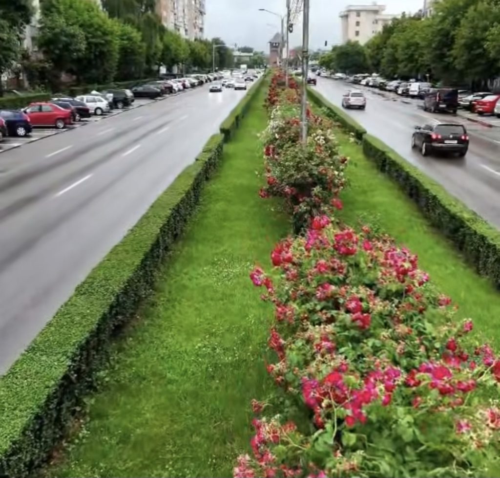 Târgoviștea în imagini, un oraș care înflorește!