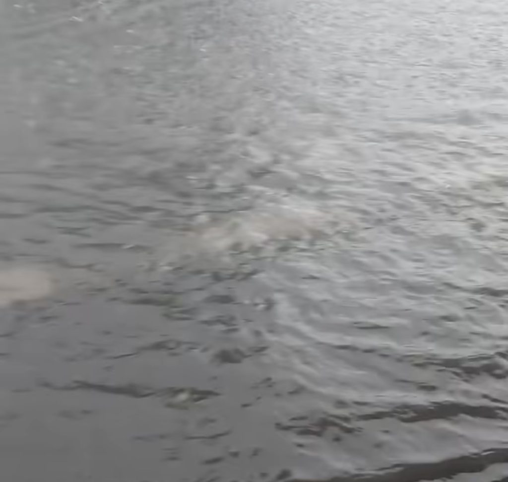 Vreme instabilă astăzi. Meteorologii avertizează asupra ploilor torențiale și a riscului de inundații locale