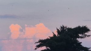  Dâmbovița intră sub Cod Galben de furtuni! Urmează ploi torențiale, vijelii și grindină