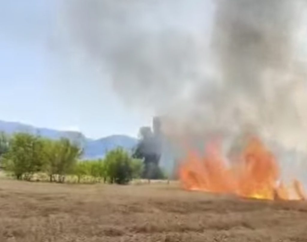 Garda de Mediu Dâmbovița