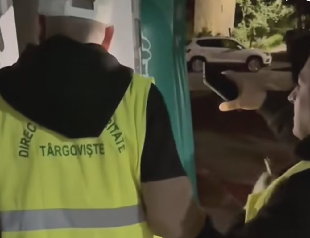 Pui de pisică salvat dintr-o pubelă la Târgoviște. Final fericit datorită spiritului civic și implicării echipei de salubritate