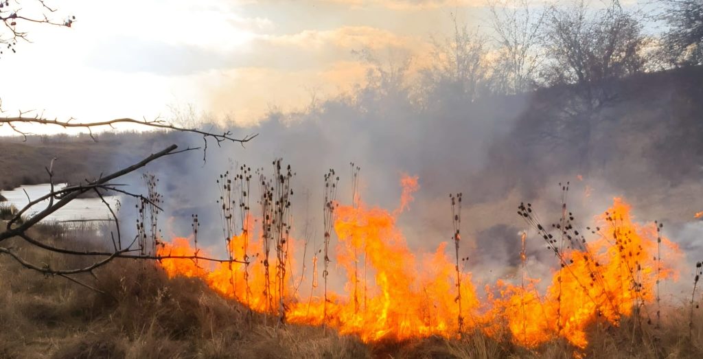  Incendiu de vegetație uscată la Găești! Flăcările au cuprins aproximativ 6 hectare