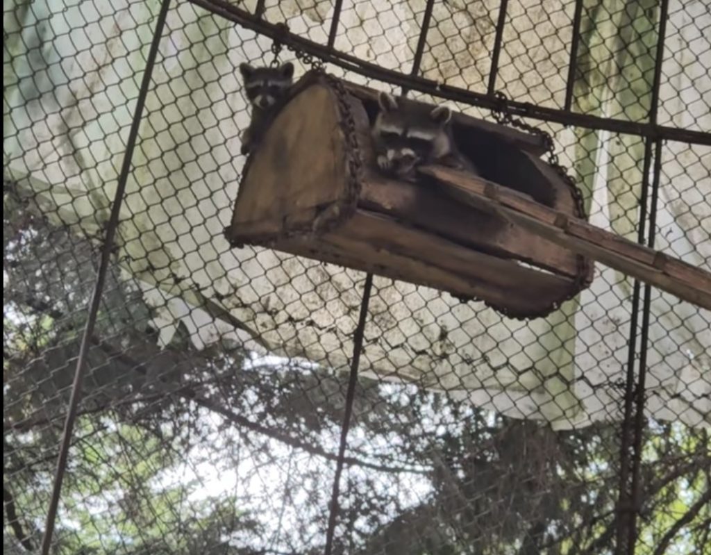 Zoo Târgoviște!