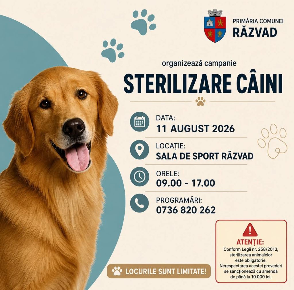 STERILIZĂRI GRATUITE PENTRU CÂINII DIN RĂZVAD! PRIMĂRIA ORGANIZEAZĂ O NOUĂ CAMPANIE STERILIZĂRI GRATUITE PENTRU CÂINII DIN RĂZVAD! PRIMĂRIA ORGANIZEAZĂ O NOUĂ CAMPANIE