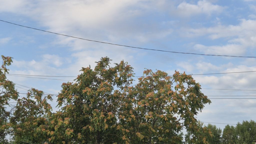 Vremea se răcorește 
